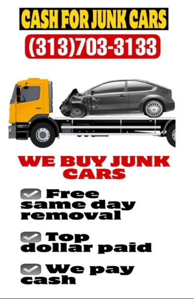 Alz Junk and Metal Llc