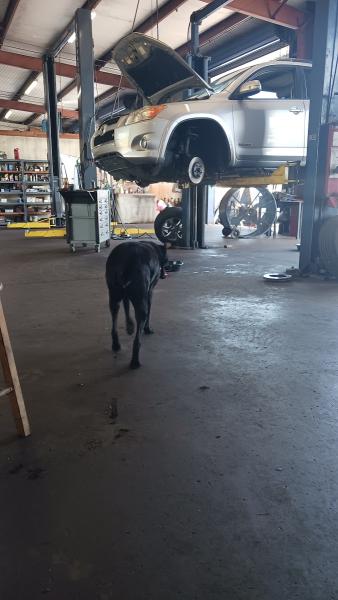 Randy's Brake Repair