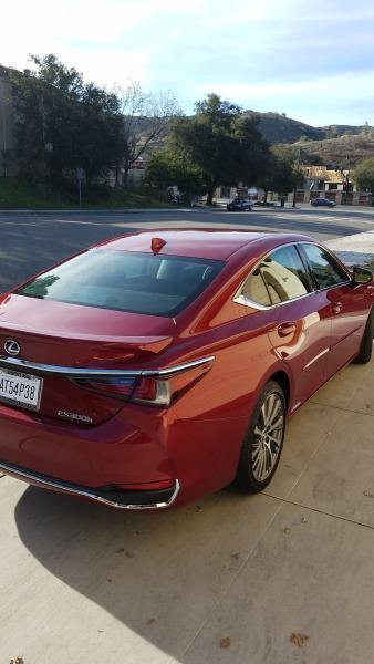 Precision Tinting