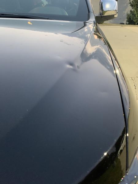Dent Eliminators