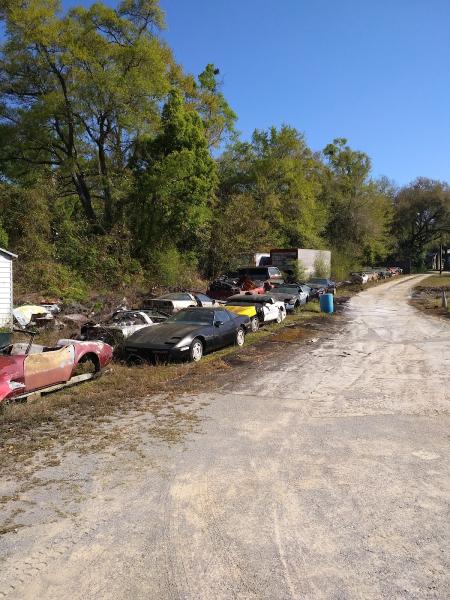 Florio's Corvettes