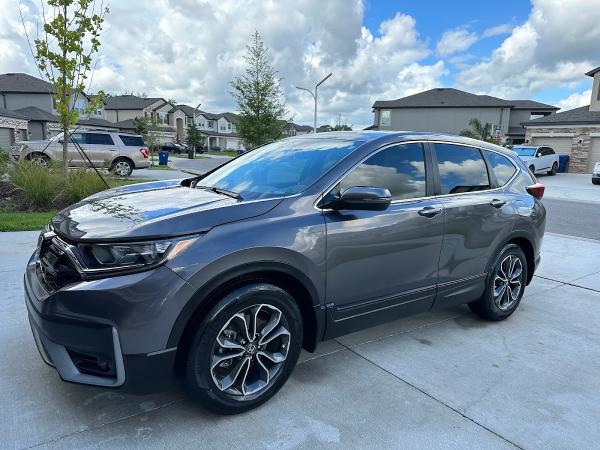 Tampa Quality Auto Detail