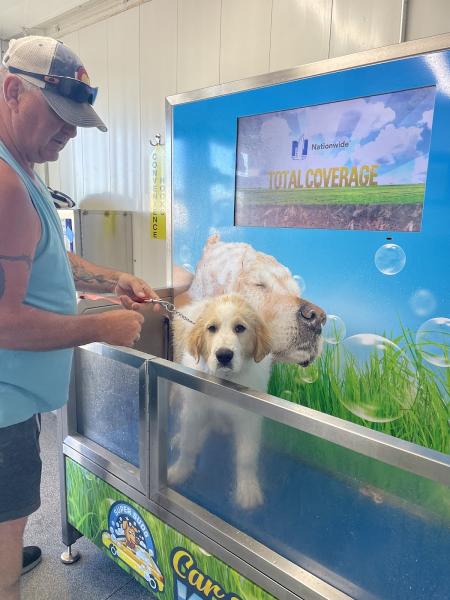 Super Suds Car & Dog Wash