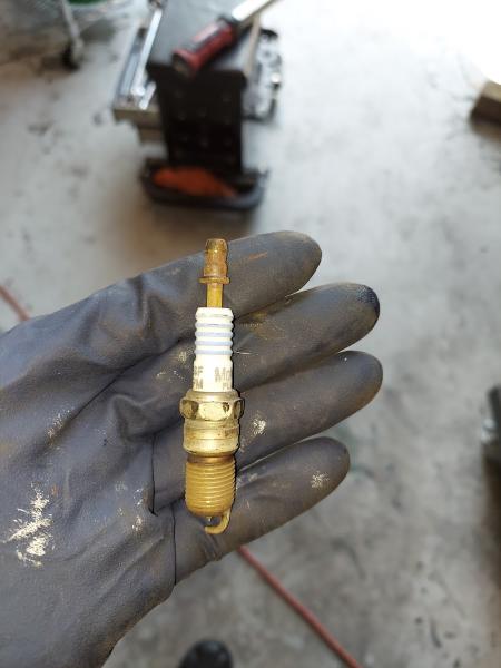 Professional Alignment and Services