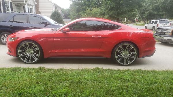 Elite Window Tinting