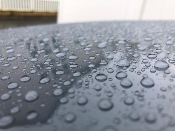 Elusive Auto Shine