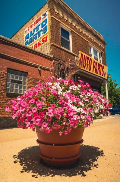 Spark Auto Parts