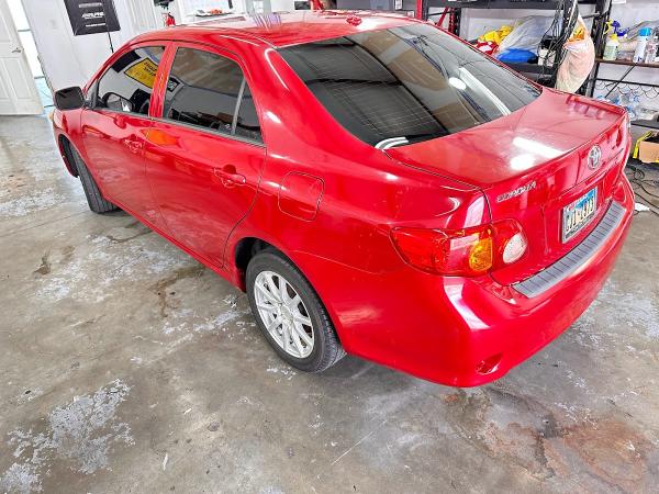 Exclusive Window Tint