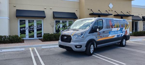 Wrap AND Tint Makeover