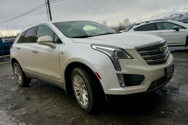 The Purple Turtle Fine Auto Detailing