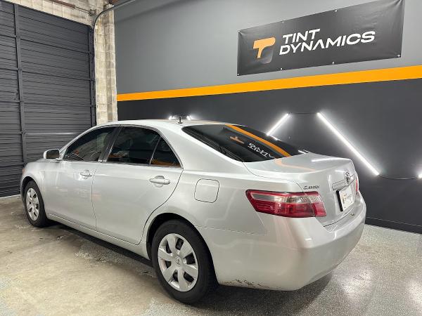 Tint Dynamics