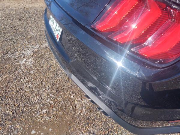 Real Integrity Paint Auto Body