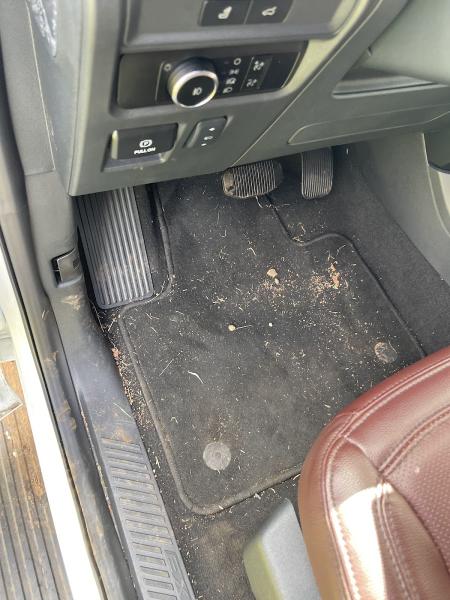 Spotless 360 Mobile Detailing LLC