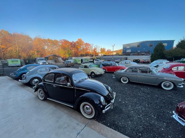 Classic VW Bugs