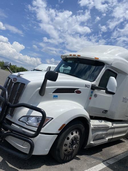 American Mobile Auto Glass
