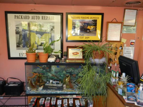 Packard Auto Repair & Service Center