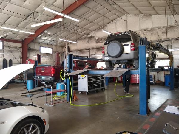 Fred's Automotive