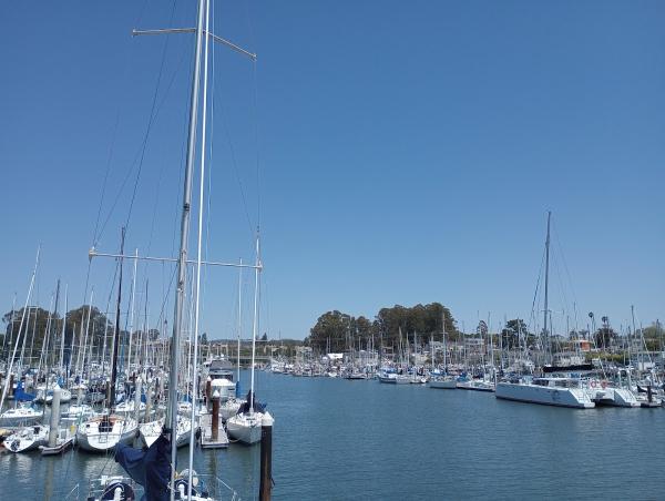 Towboatus Santa Cruz