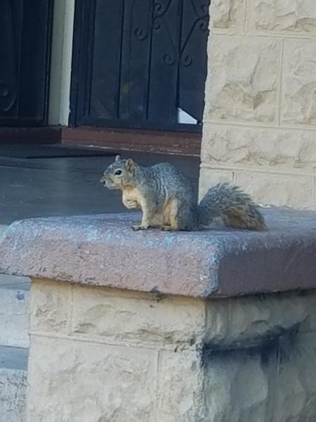 Anytime Leyva Towing