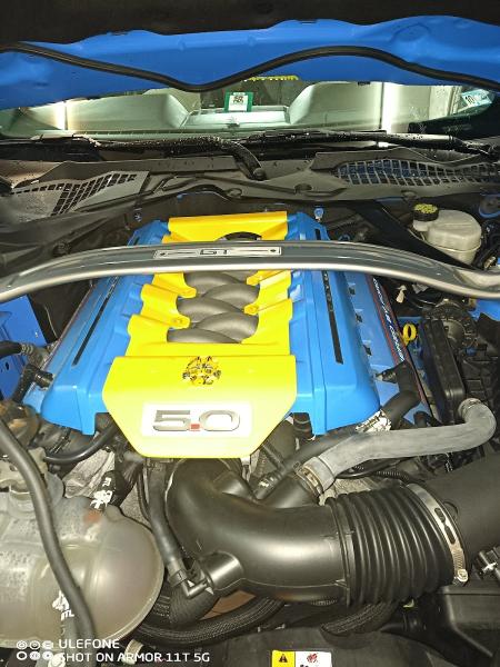 Monkton Automotive Inc