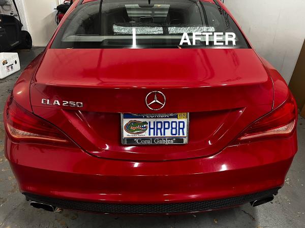 Dachshund Signs & Car Wrap