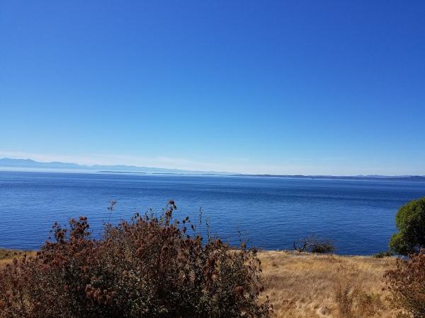 Friday Harbor Jolly Trolley Inc.