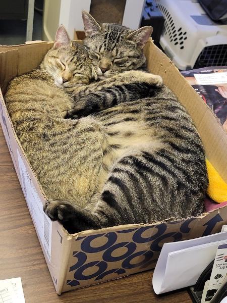 Metro Trailer Repair