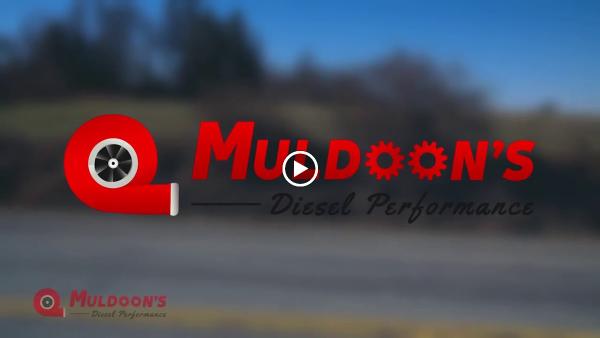 Muldoon's Performance Transmissions