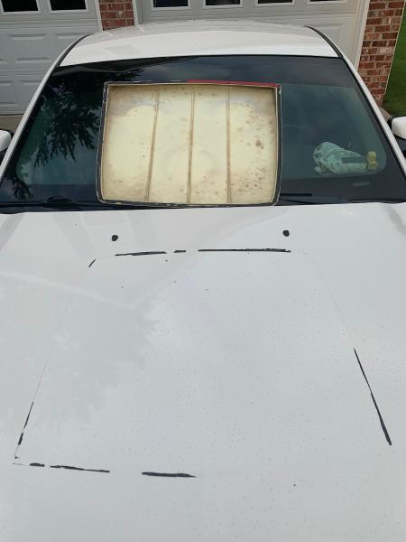 Tony Carpenter's Body Shop