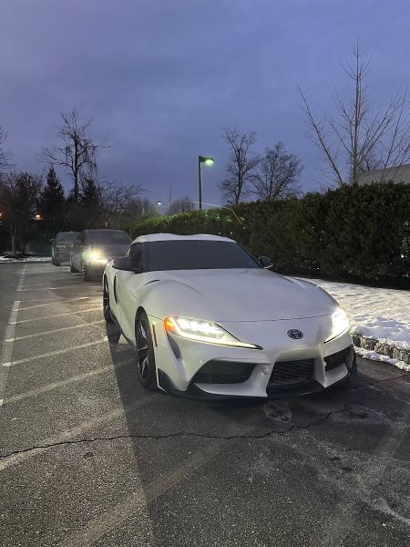 Polarize Mobile Window Tinting