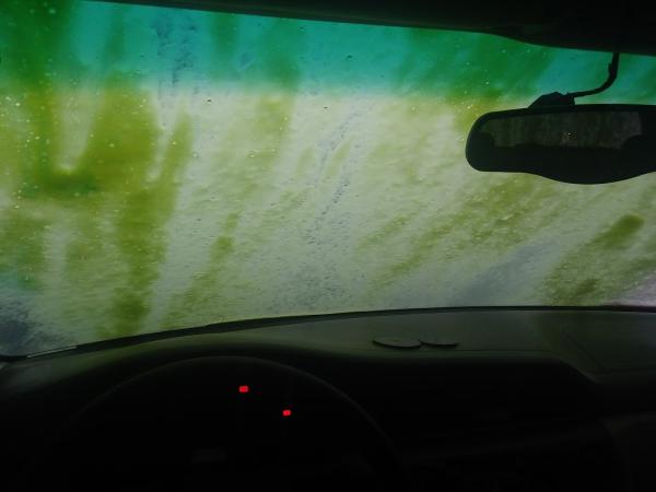 Splash Auto Wash