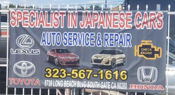 Specialist In Japanese Cars