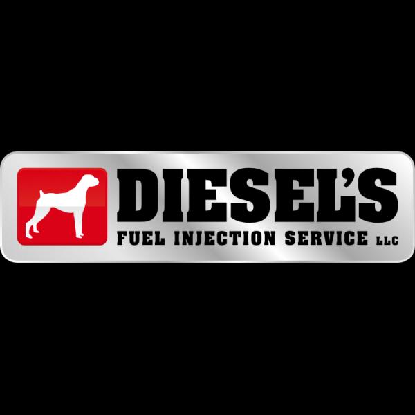 Diesel's Fuel Injection Service