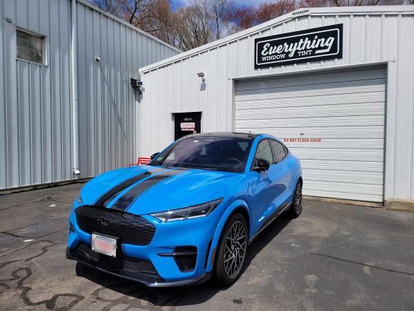Everything Window Tint