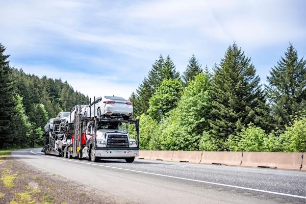 Roadana Logistics