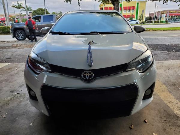 Dario's Auto Paint & Bodyshop