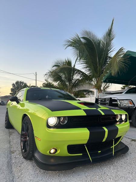 DT Wraps Miami