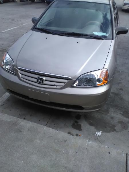 Williams Auto Paint & Body Shop