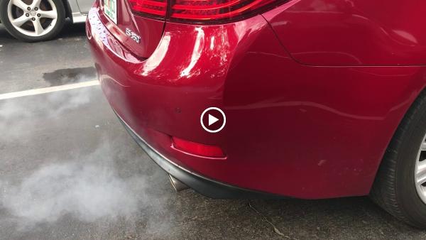 Duane's Dealer Alternative