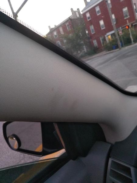 Pro Car Care
