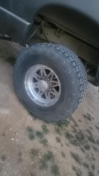 Lion King Tires