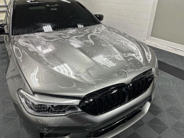 Paint Protection