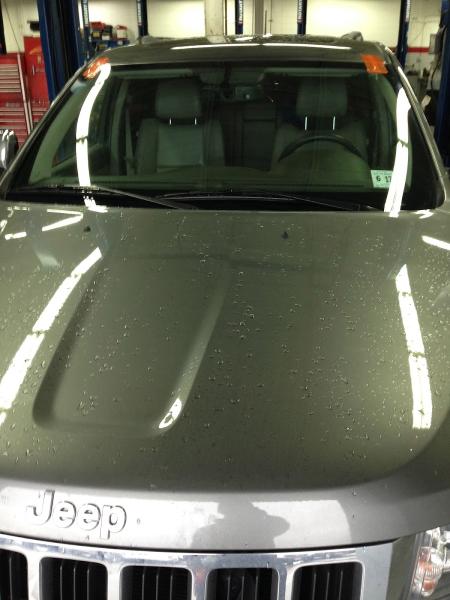 Platinum Auto Glass