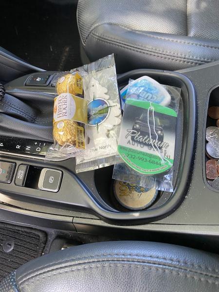 Platinum Auto Glass