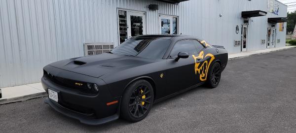 The Wrap Guy & Window Tint