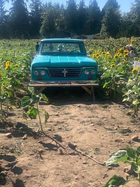 Yire Automotive Care