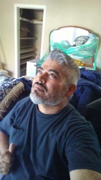 Car Go Auto Transport