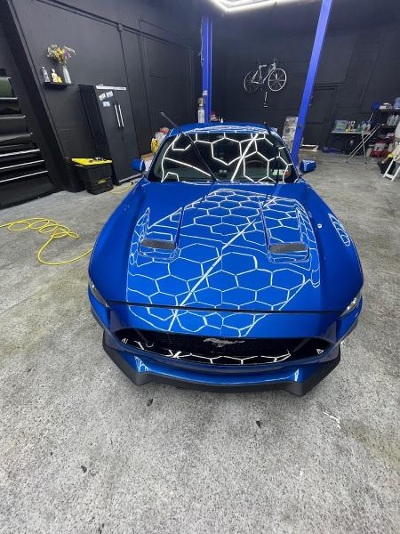Miyoshi Auto Styling -Window Tint