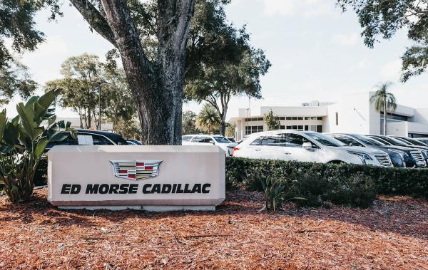 Ed Morse Collision Center Tampa