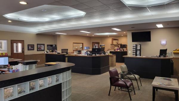 Shaffer's Auto Body